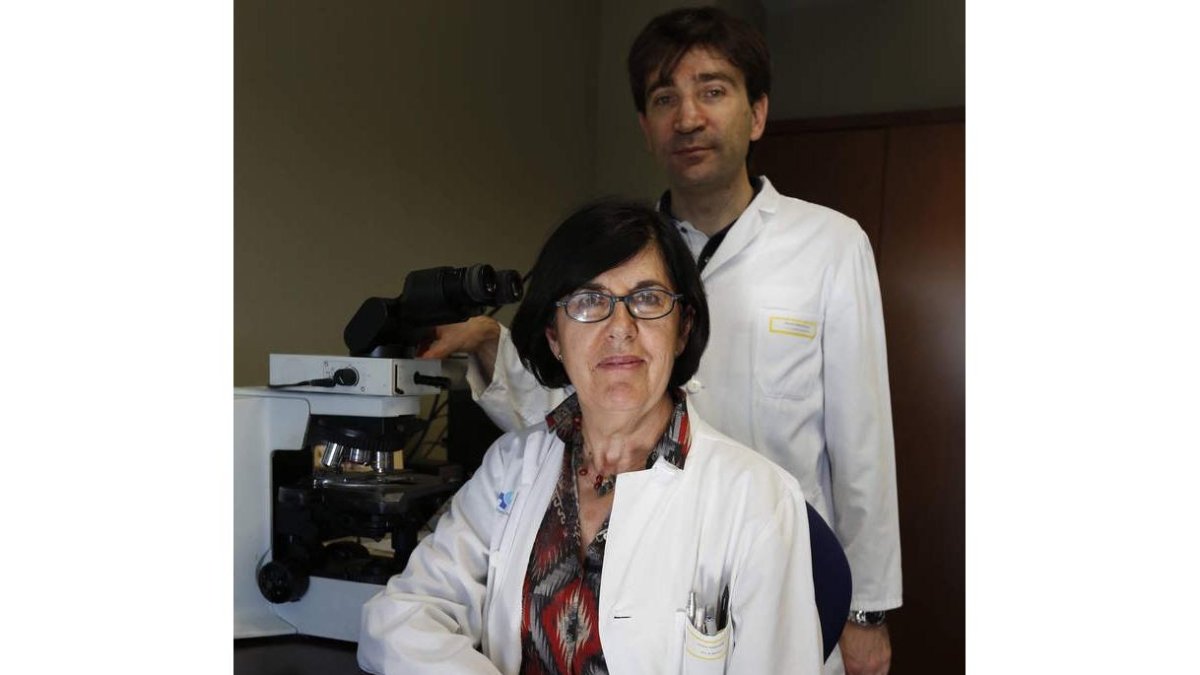 Emiliano Honrado, responsable de las técnicas, y Teresa Ribas, jefa de Anatomía Patológica.