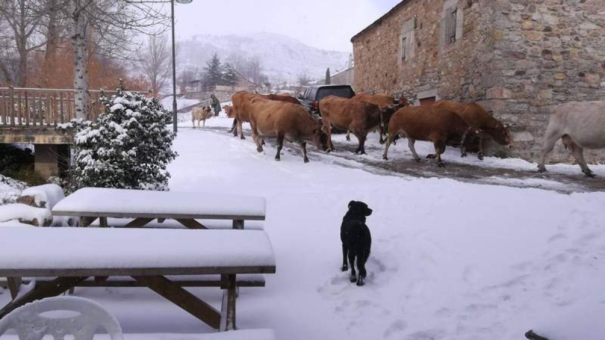El pueblo más alto de la provincia, La Cueta, cubierto ayer de nieve. DL