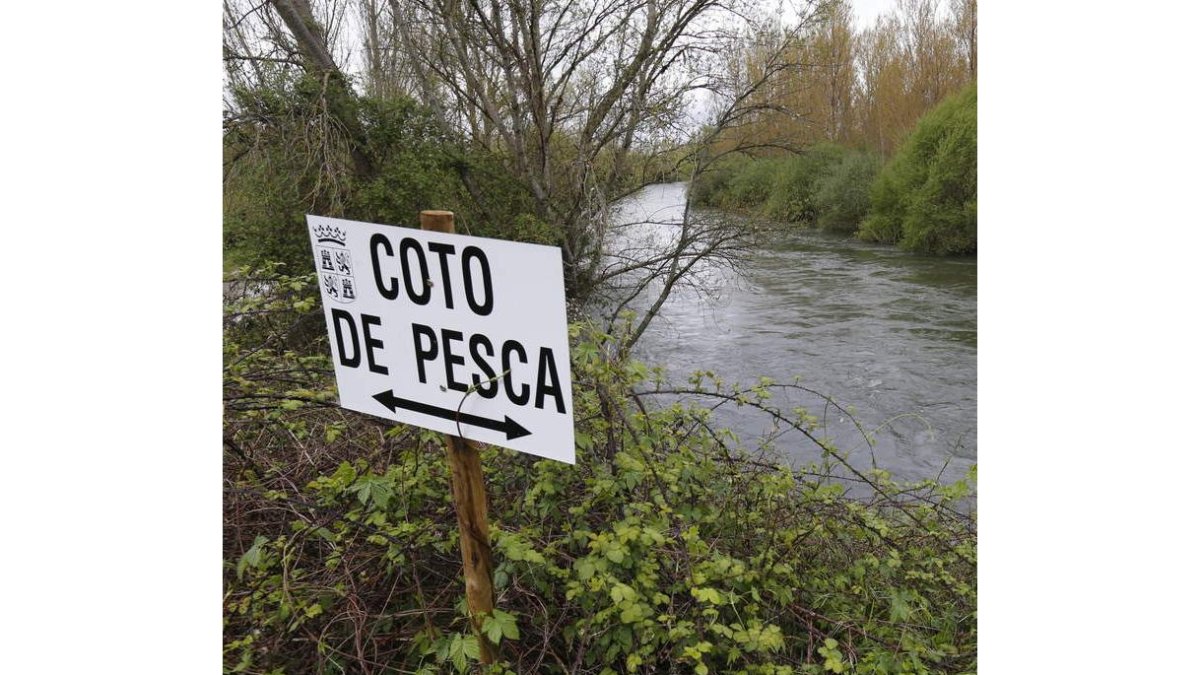 La temporada de pesca ha superado ya el mes de actividad. RAMIRO