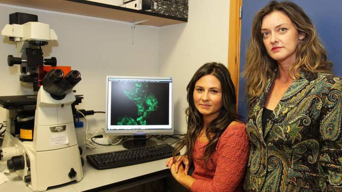 Sandra Pisonero Vaquero y Sonia Sánchez Campos, dos de las tres investigadoras del Instituto de Biomedicina de León.