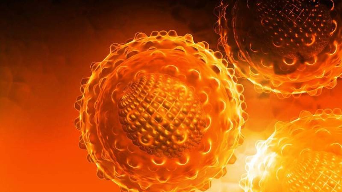 Recreación del virus de la hepatitis C. CSIC