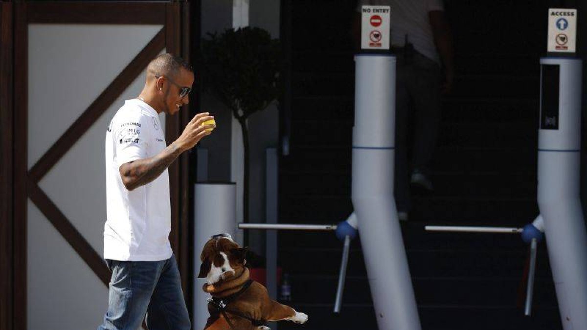 El piloto británico Lewis Hamilton juega con su perro en el circuito de Monza, ayer.
