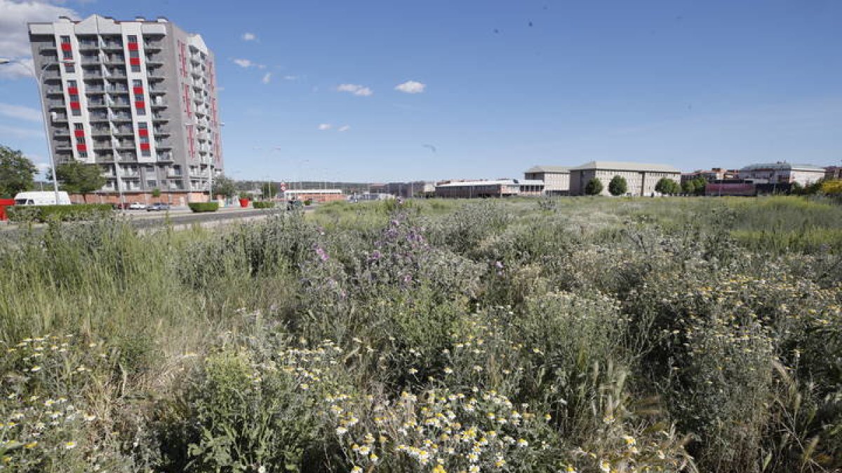 La parcela en la que se construirá el nuevo Conservatorio de León. RAMIRO