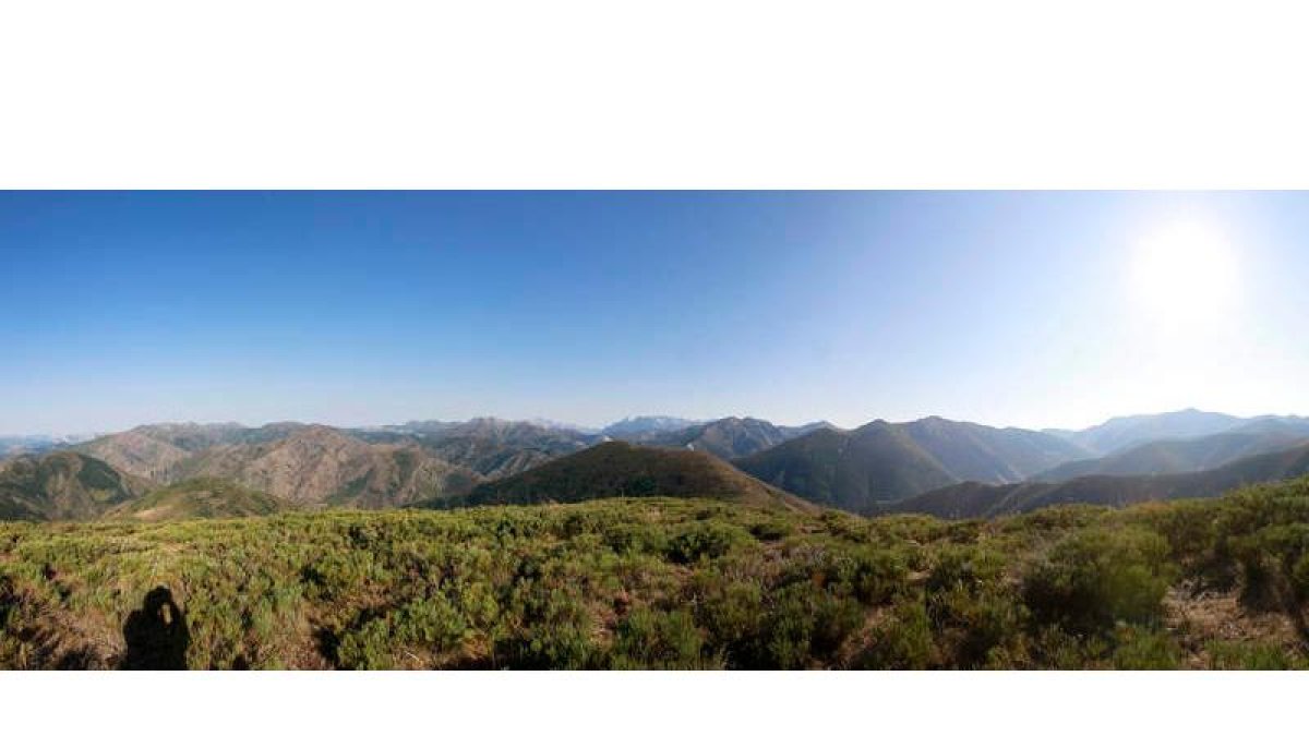 De izquierda a derecha, imagen de lobos, un turista avistando a un ejemplar de este cánido, la laguna de Villadangos del Páramo y el refugio de Vegabaño. Sobre estas líneas, Picos de Europa y Ruta del Cares