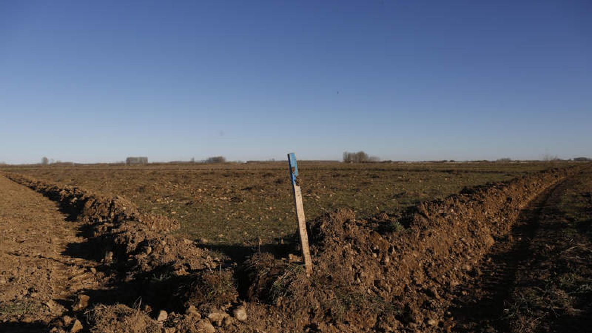 Las máquinas ya han empezado a trabajar en Santa María de la Isla. FERNANDO OTERO