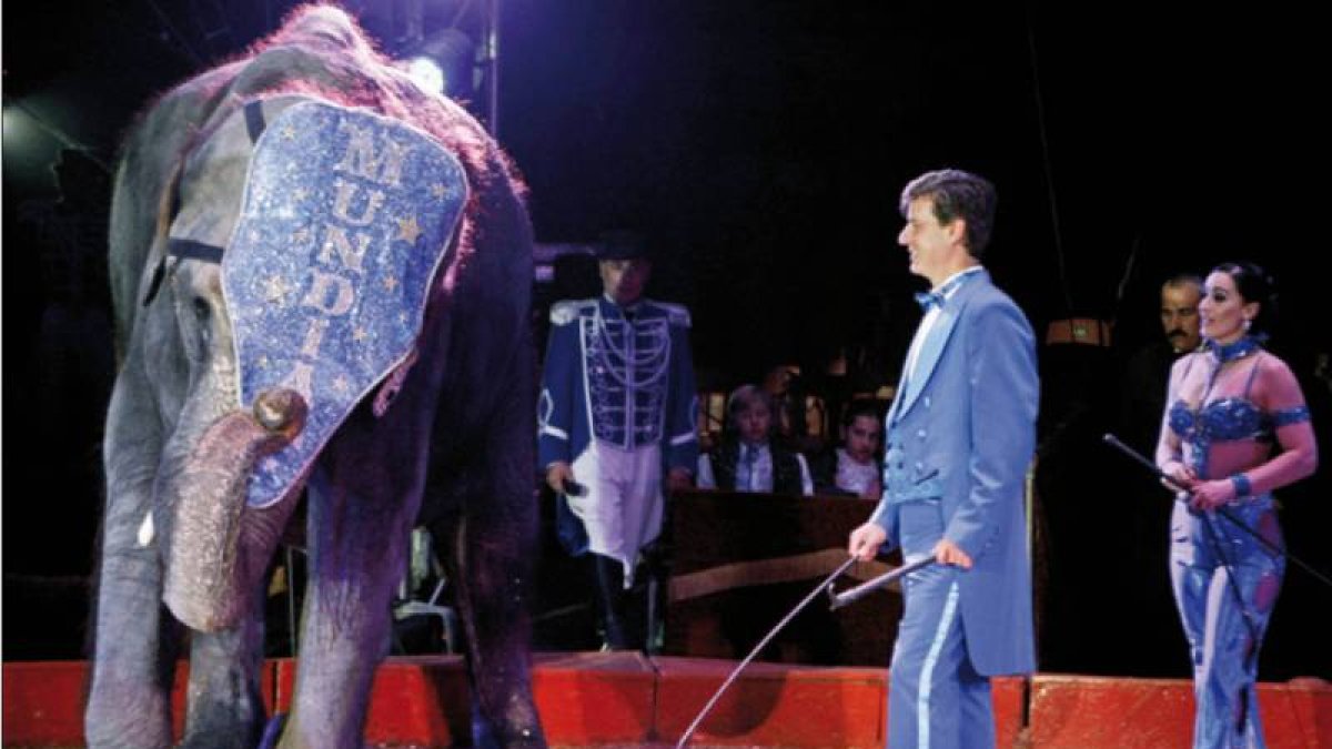 Cayetano Martínez de Irujo, en un momento del espectáculo circense.