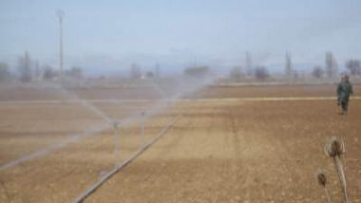 Muchos cultivos ya se han recolectado y los agricultores preparan el próximo ciclo.