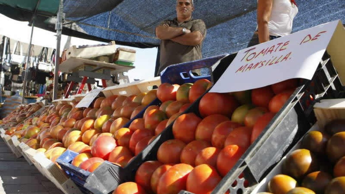 La feria del tomate se convierte este fin de semana en el reclamo para visitar Mansilla de las Mulas y adquirir el producto rey de la vega del Esla.