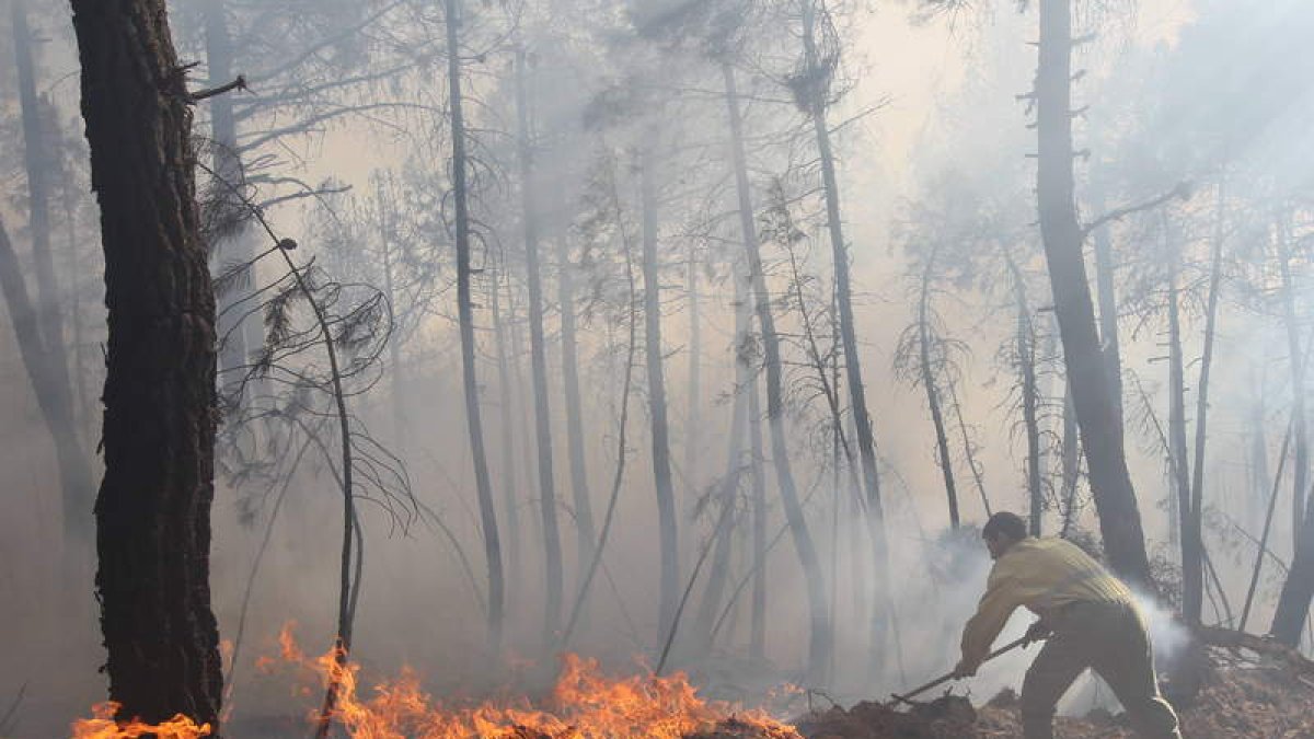 Imagen de la extinción del pavoroso incendio que el pasado verano asoló el monte de Castrocontrigo.