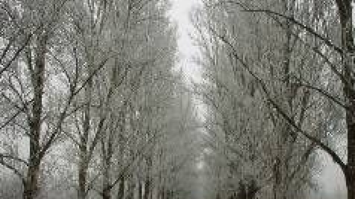 Imágenes como ésta, tomada en el invierno en la carretera de Grafedes, pasarán a la historia