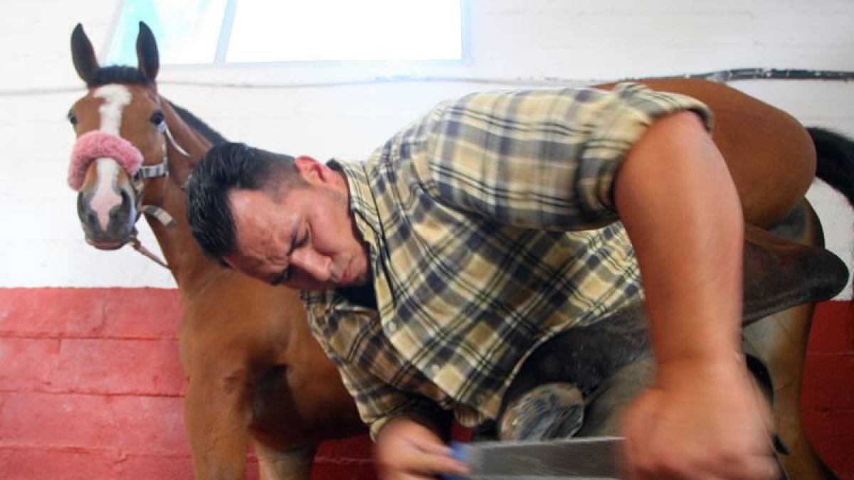 Jonathan Carvalho, herrador de caballos.
