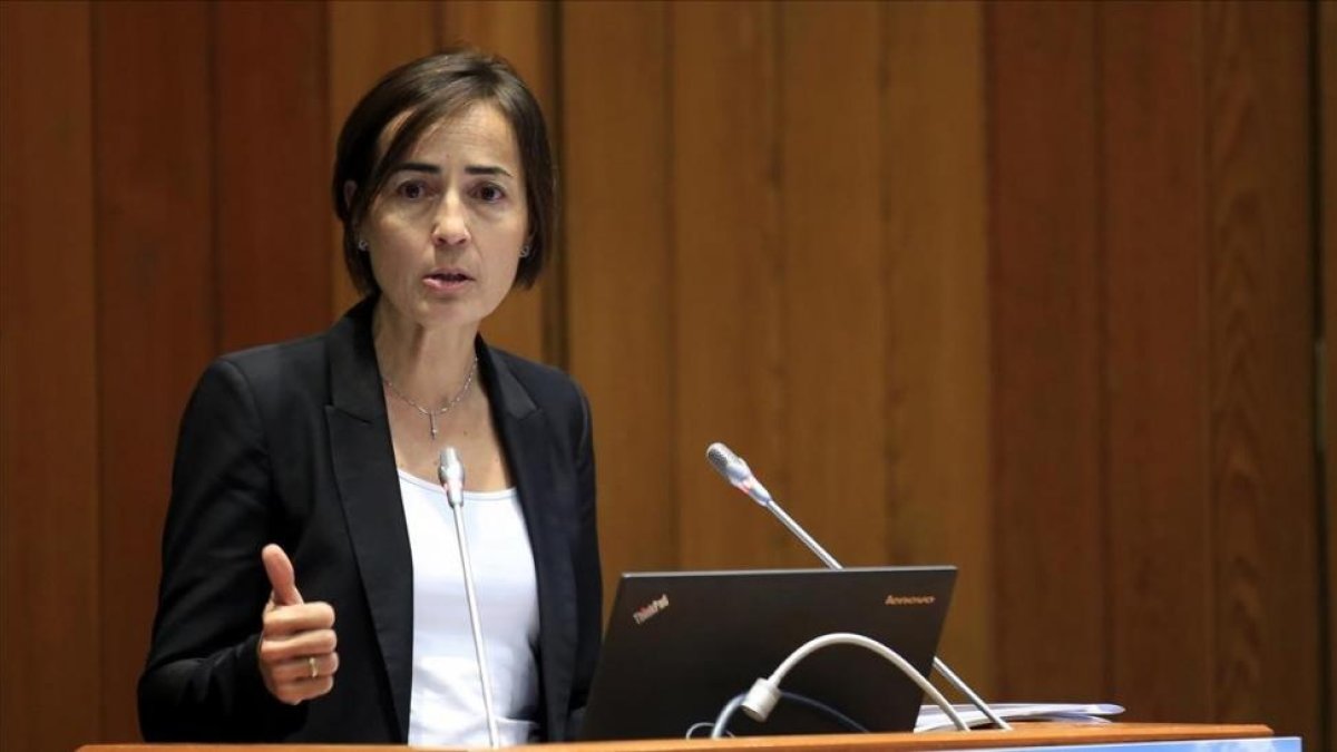 María Seguí, exdirectora general de Tráfico.