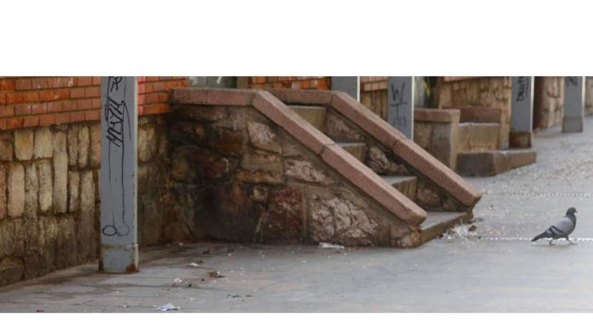 Basura en una calle de la capital. DL