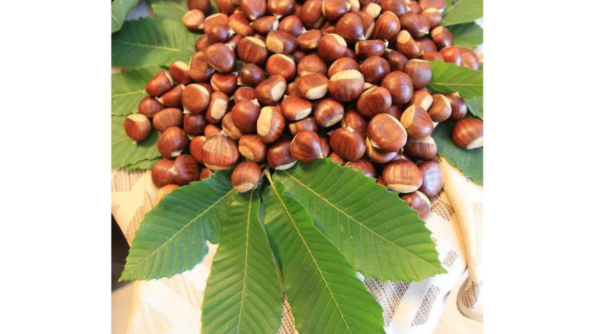 DC10P16F2-18-28-11-6_18310381_med