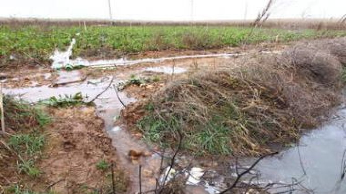 El agua de las lluvias anega buena parte de los cultivos del sur de la provincia.