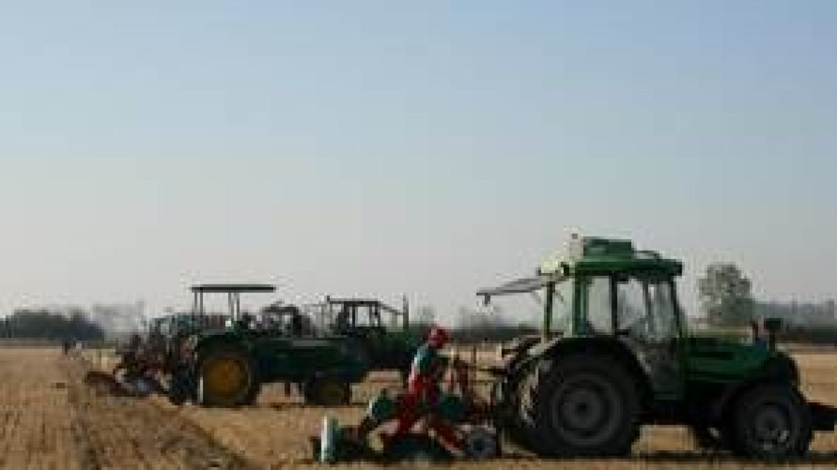 El concurso de arada muestra la pericia de los agricultores con la tierra