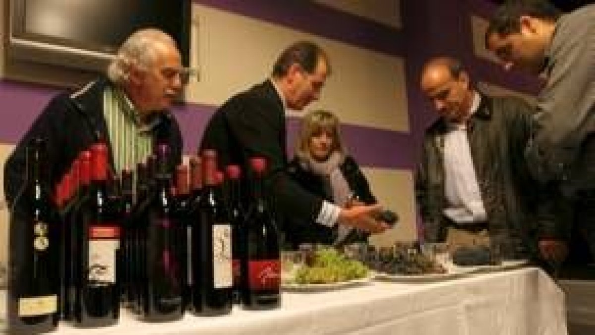 Un momento de la cata-taller de la bodega Viña Albares, ayer en la cafetería Museo de Ponferrada
