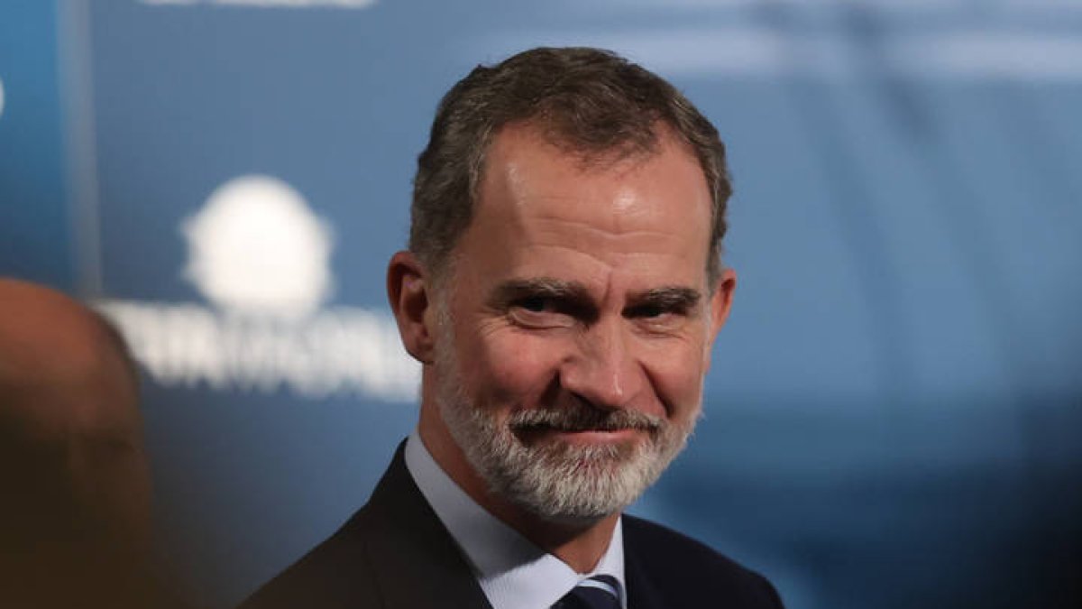 El rey Felipe VI: KIKO HUESCA