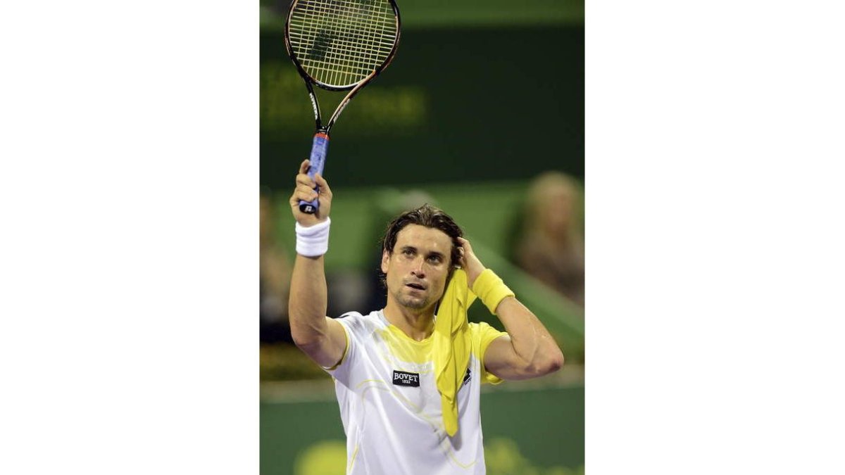 David Ferrer celebra el título de campeón.