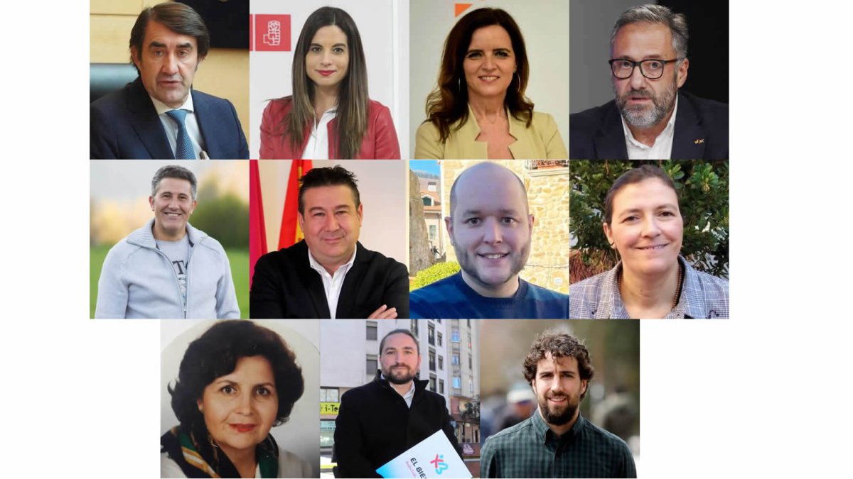 Mosaico candidatos