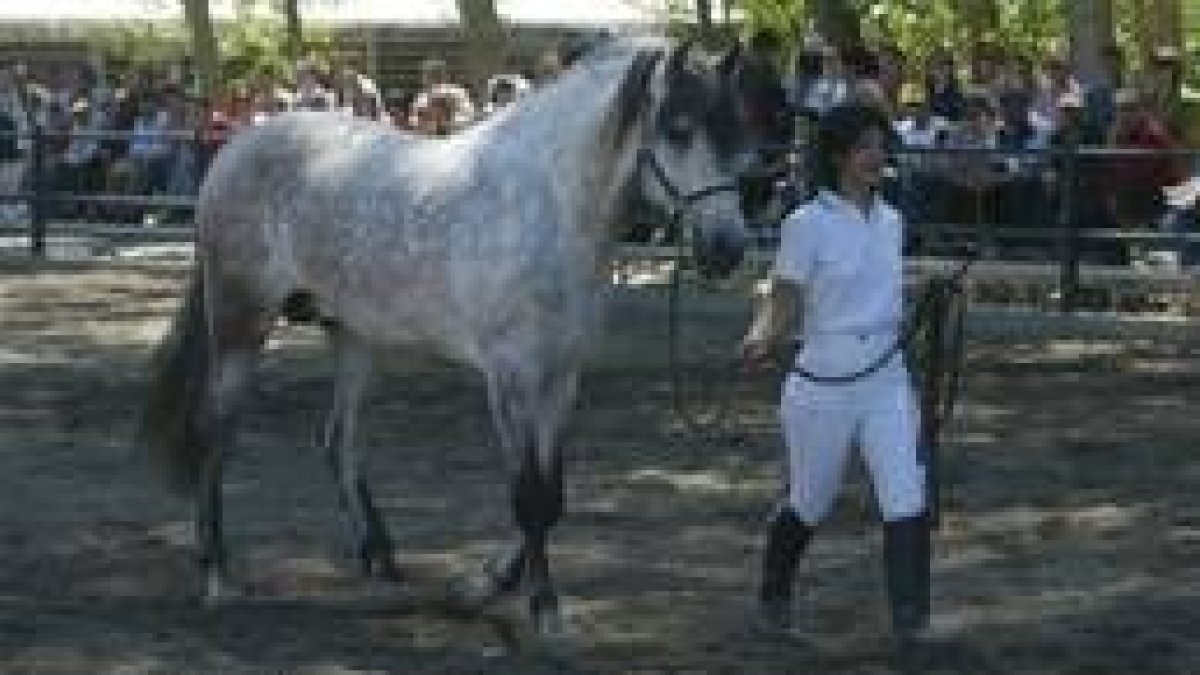 La exhibiciones de la Feria del Caballo fueron seguidas por numeroso público
