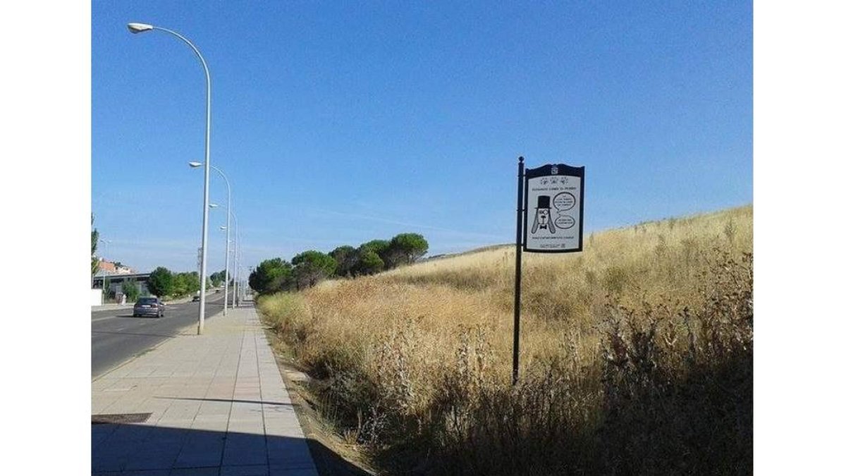 Estado de una de las zonas para perros en la capital.