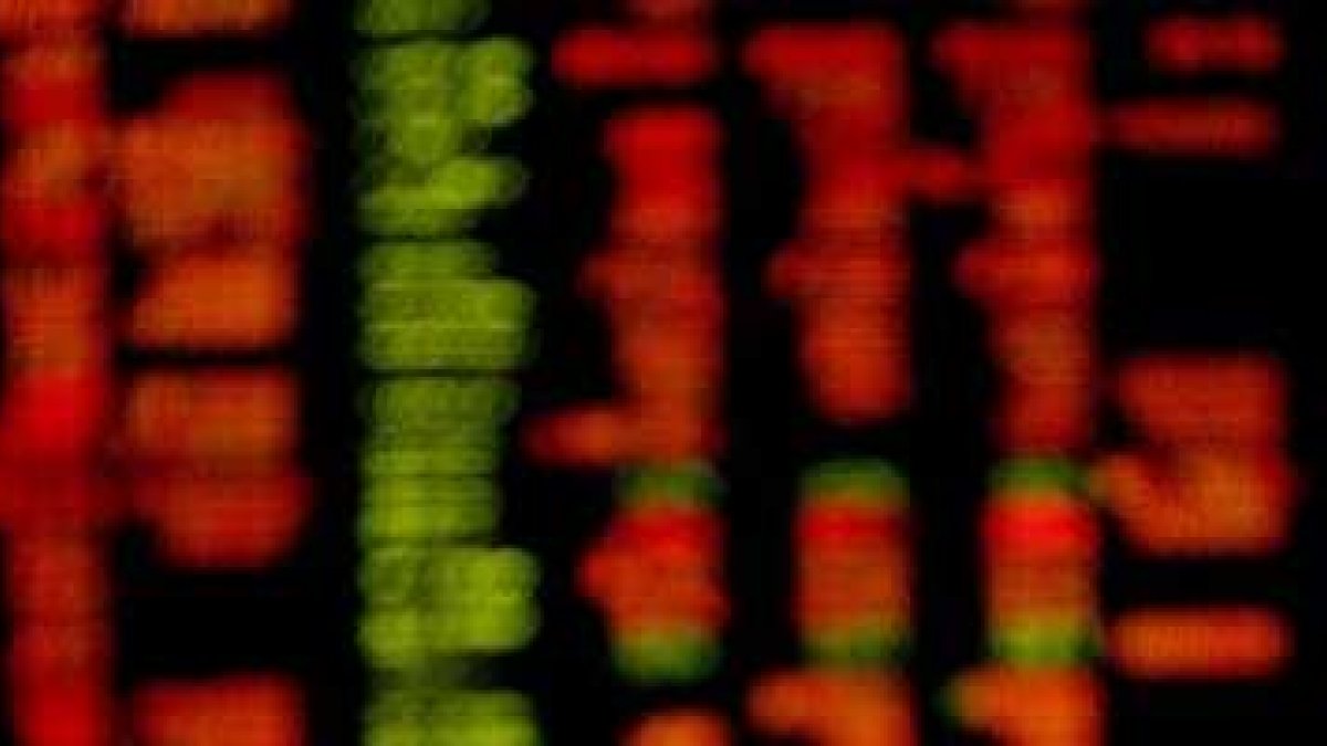 El Ibex ha perdido los 8.000 puntos.