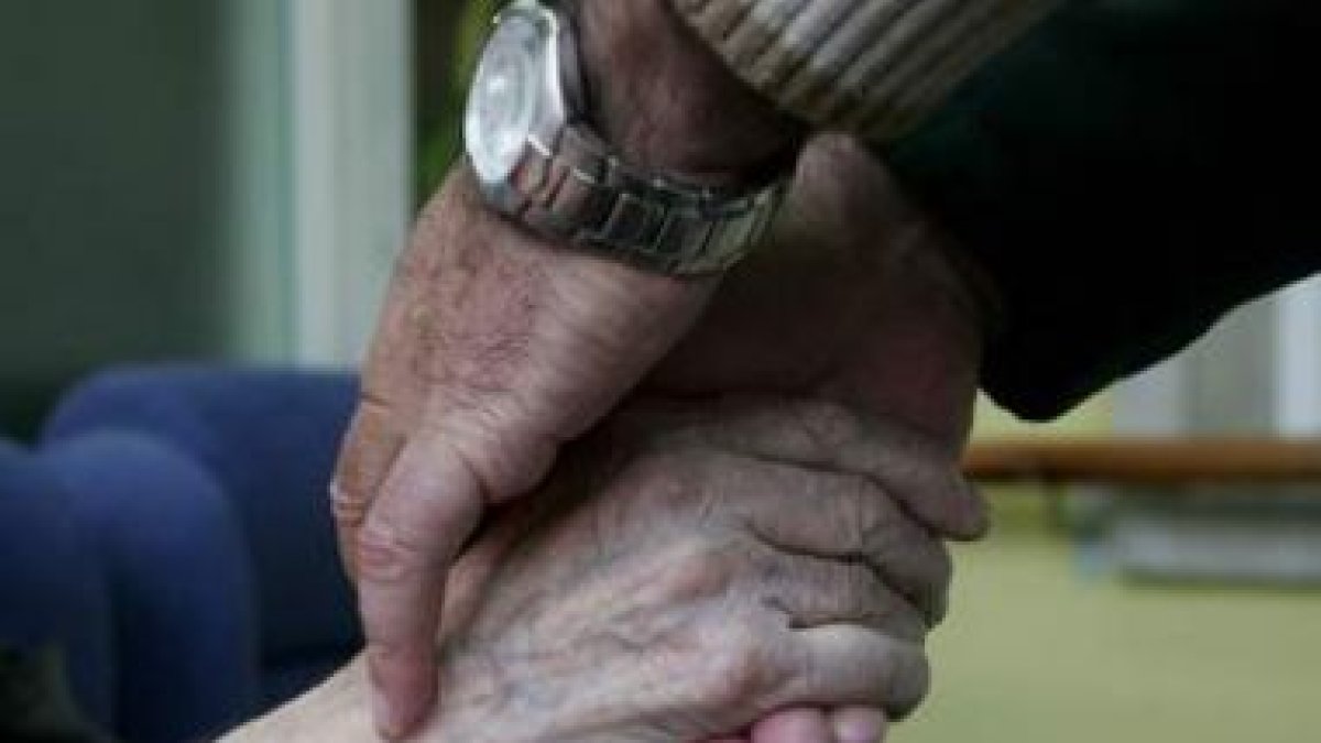 El Ayuntamiento desarrollará diferentes acciones para fomentar la participación efectiva del volunta