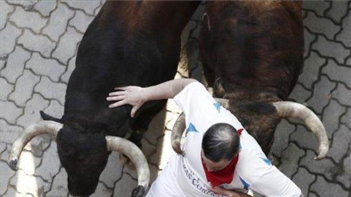 Los toros de la ganadería de La Palmosilla, de Tarifa (Cádiz), a su paso por el tramo del callejón, durante el séptimo encierro de San Fermín.