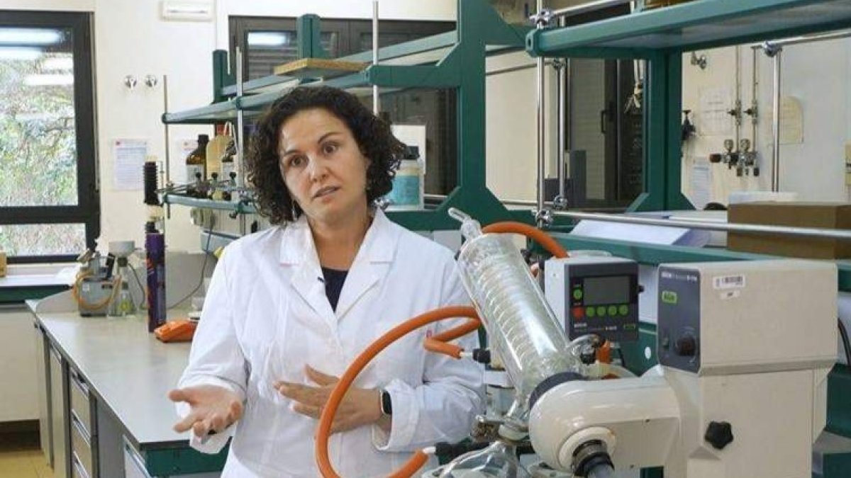 Patricia Combarros, investigadora especializada en la línea apícola de Balat. DL