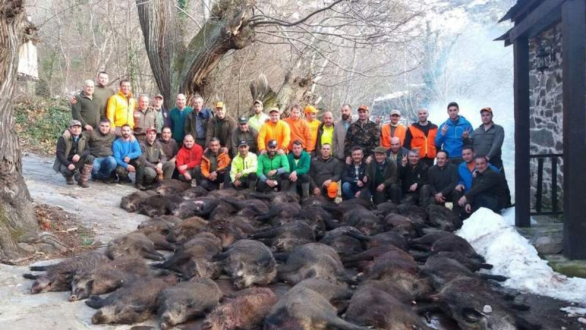 Cacería de Llamas de Cabrera a la que se refiere la denuncia. DL