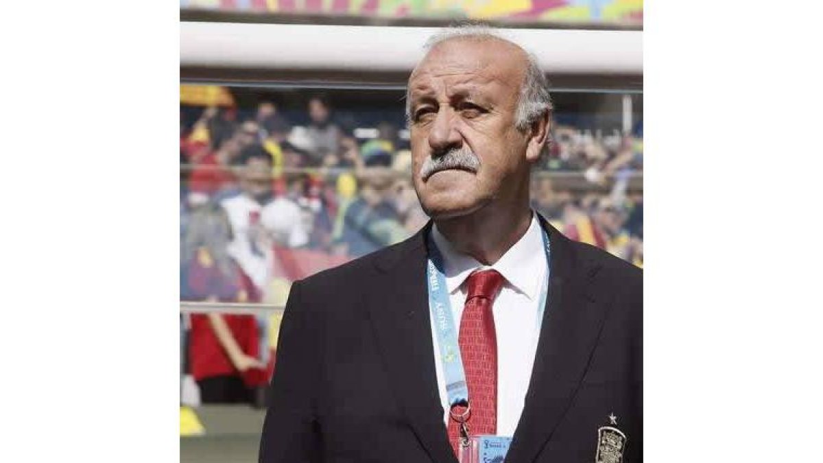 El seleccionador nacional Vicente del Bosque.
