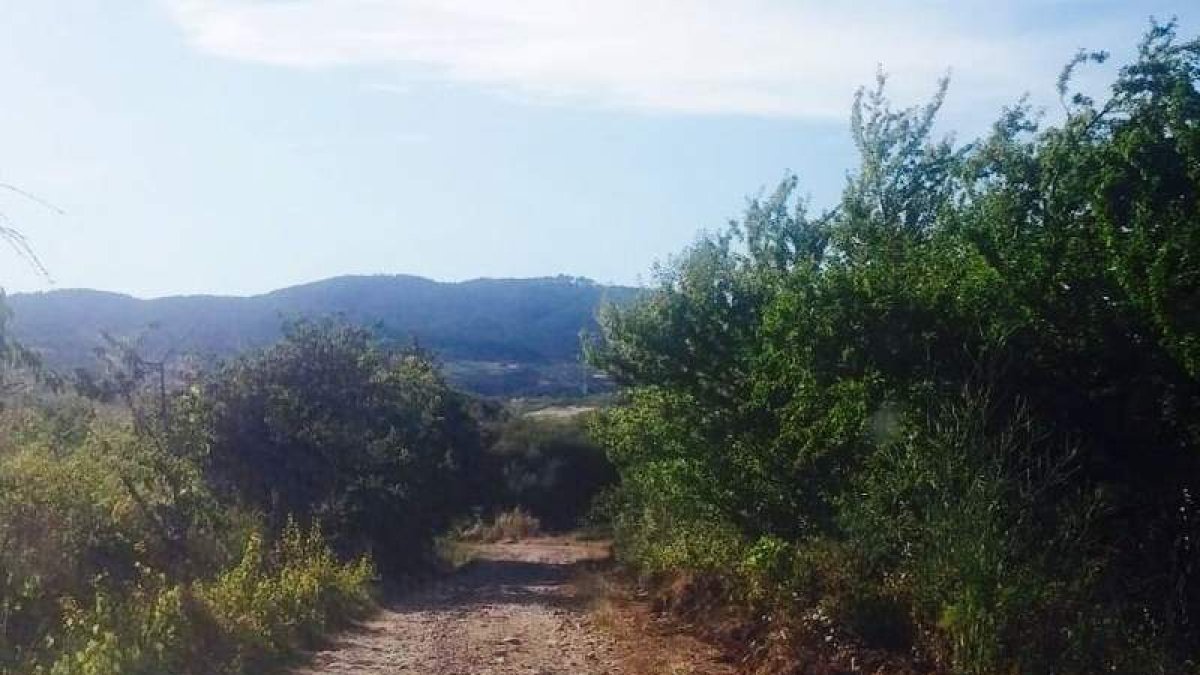 Estado del camino de Villar de los Barrios a San Lorenzo. DL