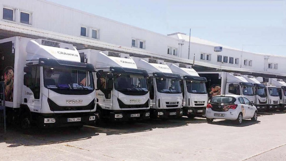 Hoy estamos ante un grupo de alimentación multidisciplinar, no sólo dedicado al área avícola, sino distribuyendo también todo tipo de alimentos en el mercado.