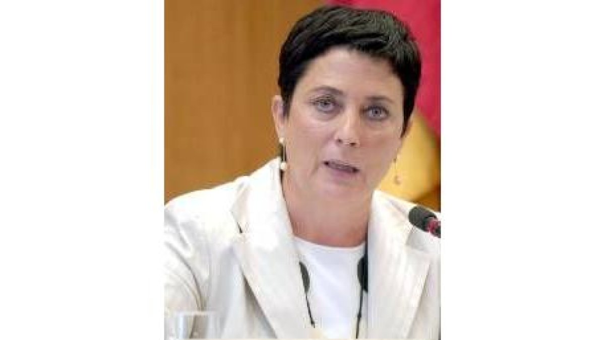 Mercedes Gallizo, durante su comparecencia en el Congreso