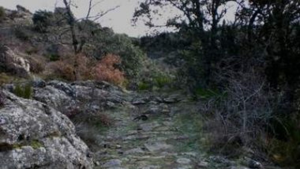 Parte de la calzada romana de Fuentes de Peñacorada que se ha recuperado.