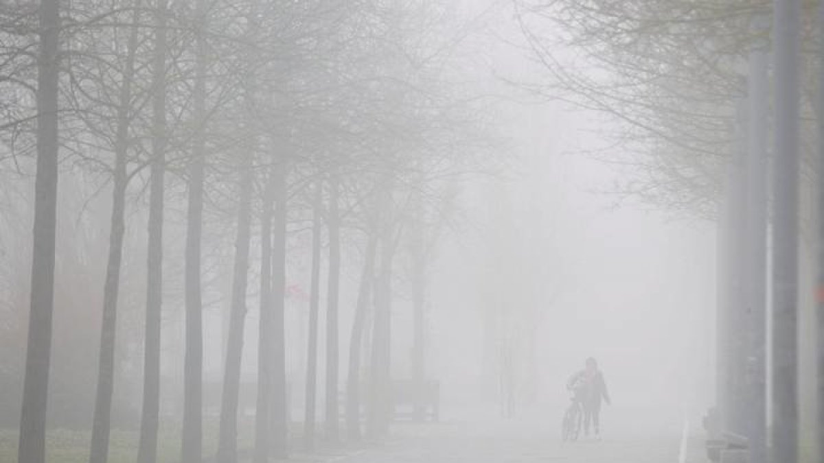 niebla