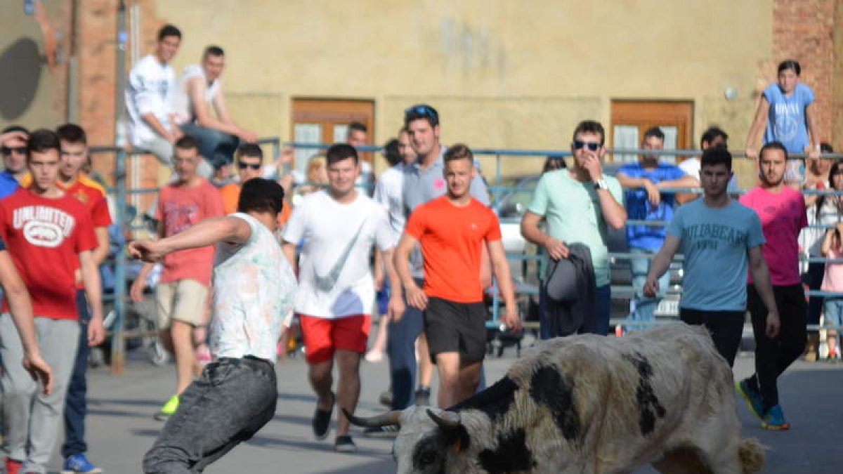 A la izquierda, procesión con el Carro Triunfante; a la derecha, una imagen del encierro taurino de ayer en Villademor. MEDINA