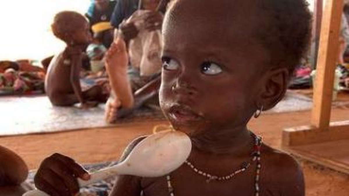 En la actualidad hay más de 178 millones de niños que sufren malnutrición crónica.