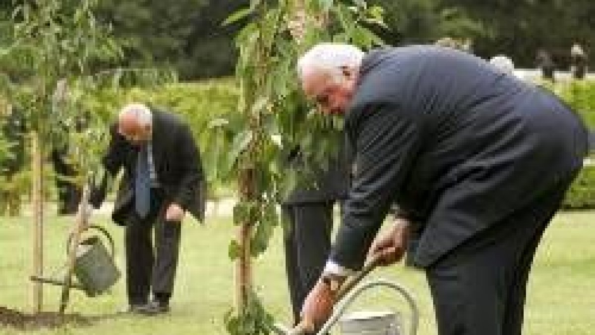 Gorbachov y Kohl plantaron cerezos en el quince aniversario