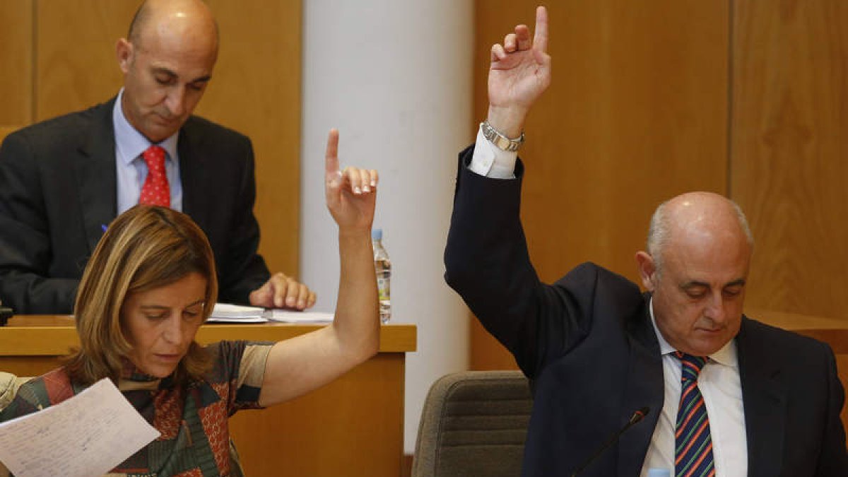 Noelia Álvarez y Chamorro, en una votación plenaria. JESÚS