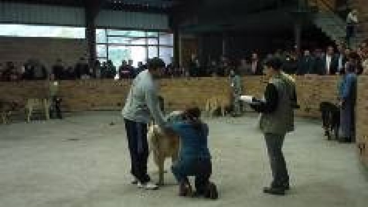 Un momento de la penúltima cita del campeonato, celebrada ayer en Villablino