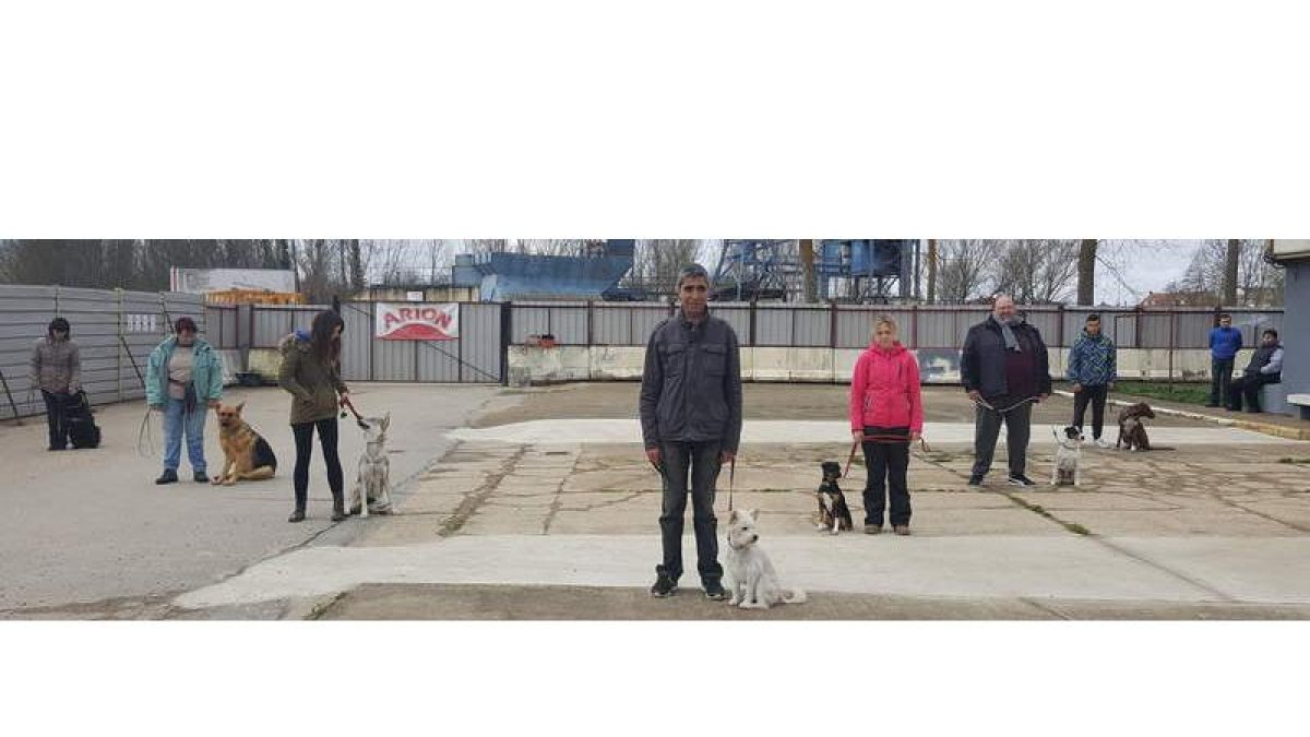 Esta empresa nacida en León hace tres años también entrena y educa perros de particulares en sus instalaciones de Villaobispo. DL