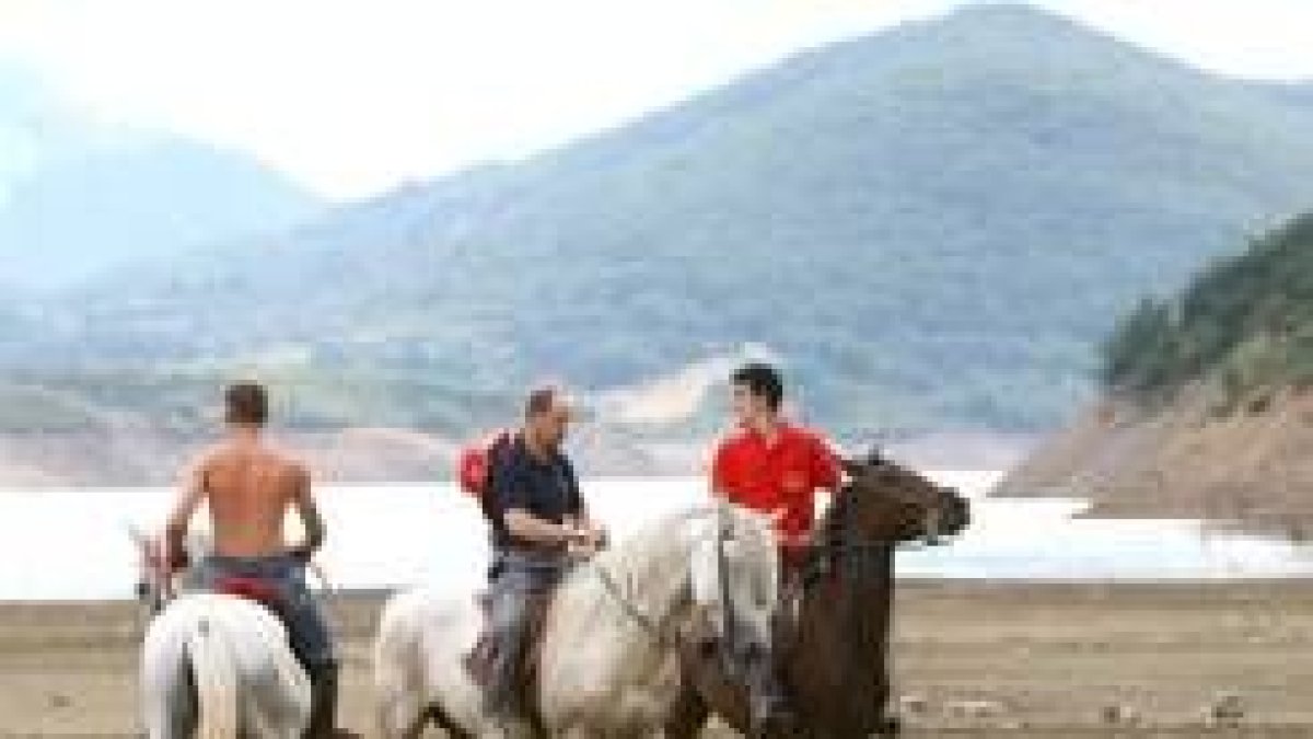 Los caballos descansan tras la carrera, con el pantano al fondo