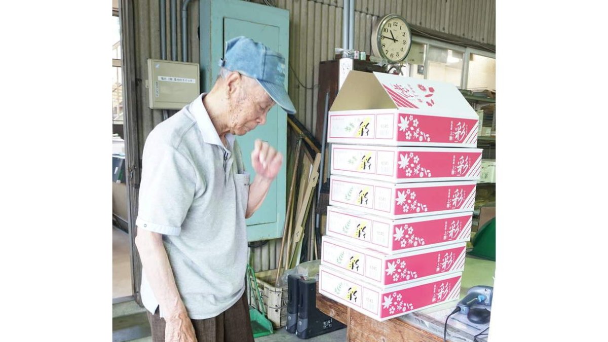 Muchos rincones de Japón ponen en marcha planes para hacer frente a la escasez de población.