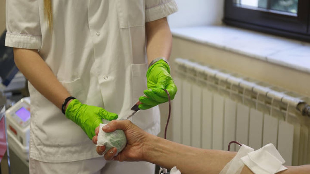 Una persona donando sangre. FERNANDO OTERO