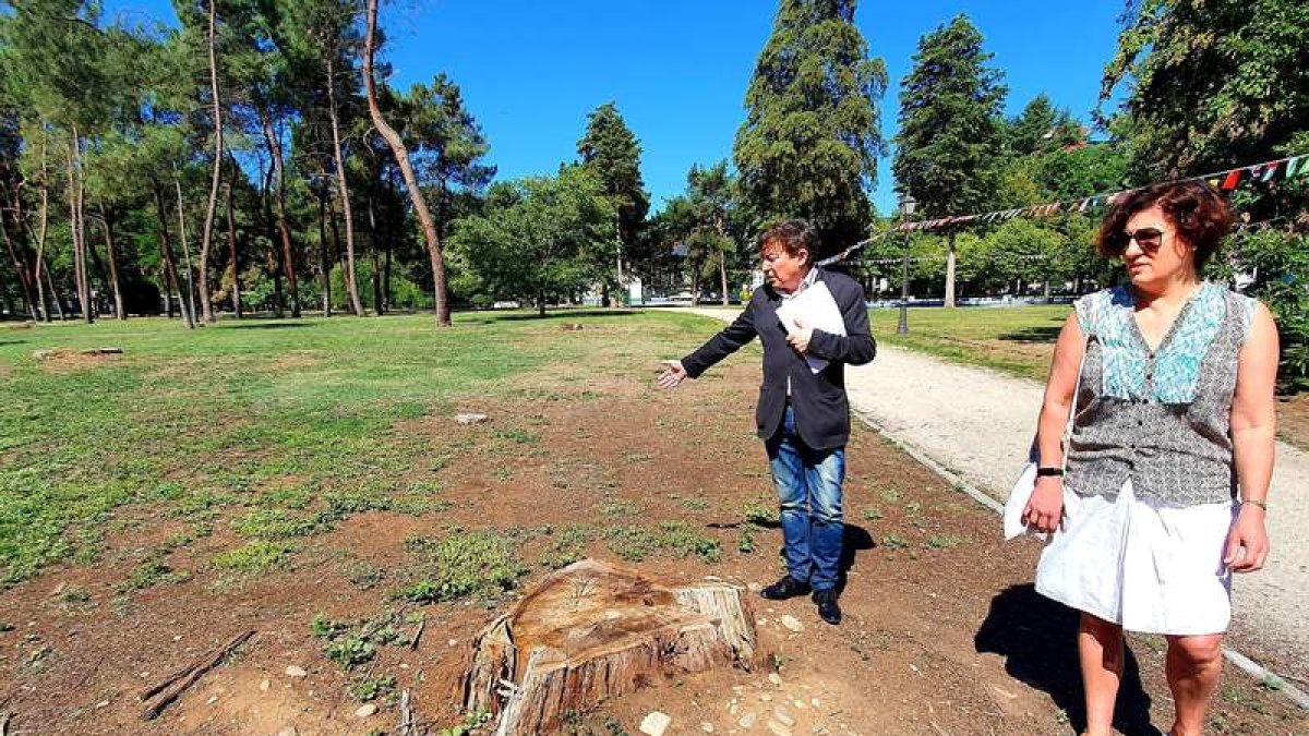 Samuel Folgueral y Cristina López ayer en el parque del Temple, donde siguen las raíces de la tala. DL
