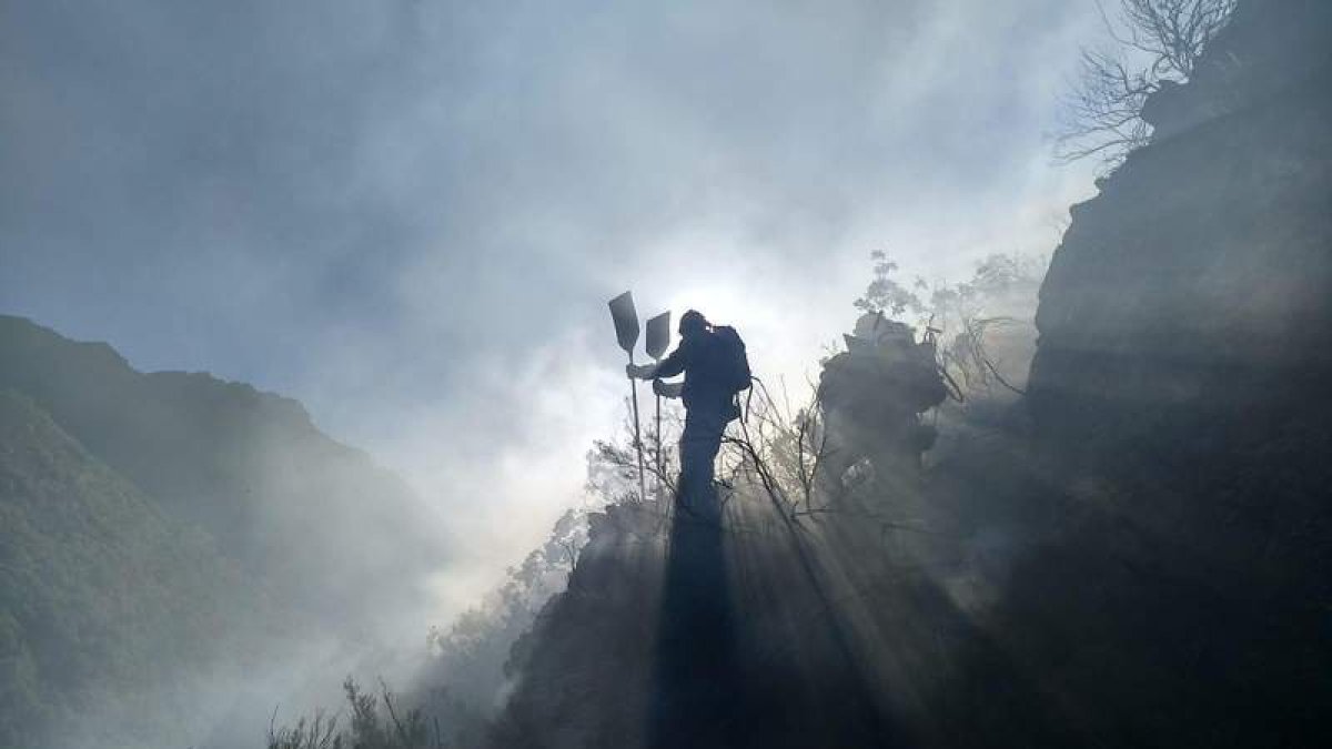 Durante los 15 primeros días de enero se registraron 39 incendios forestales . DL