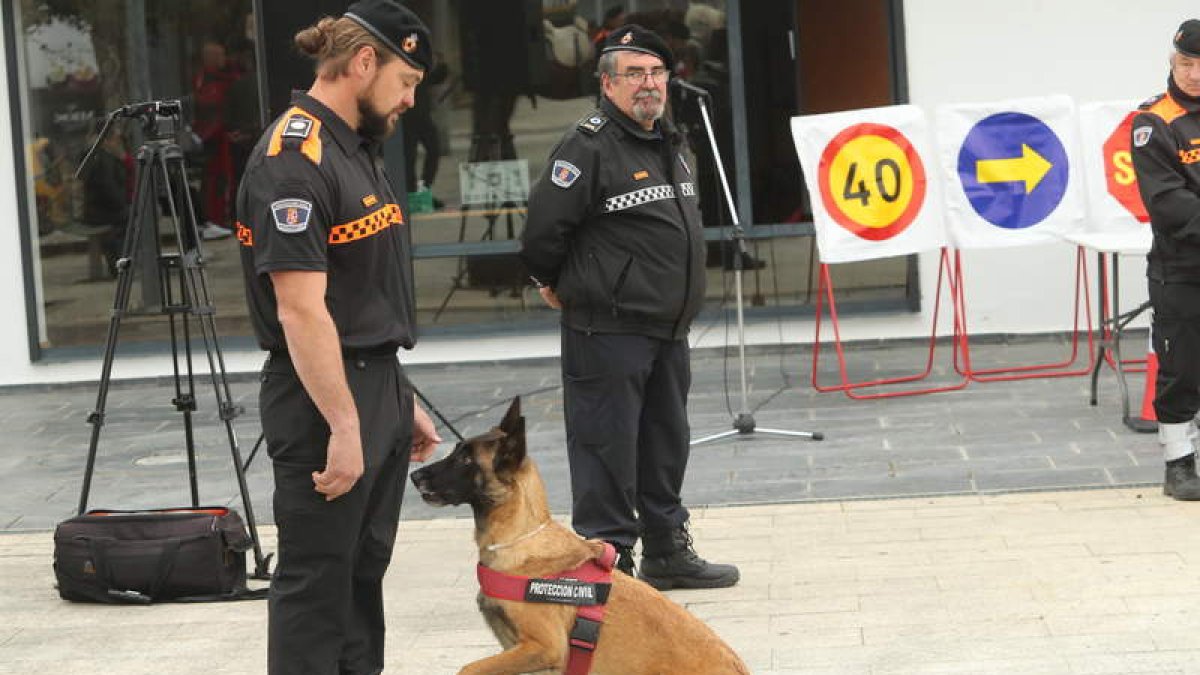 Trabajo con perros adiestrados en Carracedelo. L. DE LA MATA