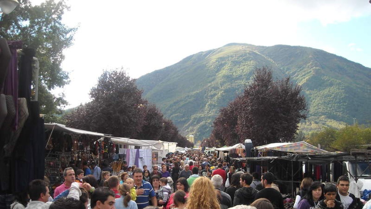 El recinto ferial de Las Rozas estará abierto para todo tipo de ganado, desde vacuno hasta caprino, equino o porcino , si bien tradicionalmente La Feriona congregaba a reses vacunas y equinas. Desde hace unos años, comenzó a desarrollarse una exposición monográfica de razas puras, que este año el ayuntamiento ha decidido suprimir. Mientras que el plato típico del día es el pulpo «A feira» el cual se puede degustar tanto en las pulperías que se ubicarán en la Avenida del Bierzo como en bares, restaurantes y hogares lacianiegos.